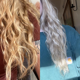 T12 Silver Mist Hair Toner