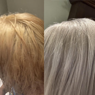 T12 Silver Mist Hair Toner