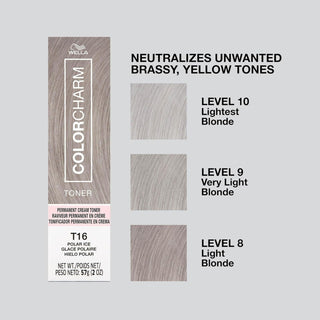 T16 Polar Ice Hair Toner