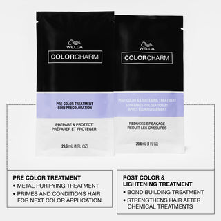 Pre & Post Color Treatment Bundle