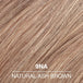 9NA Light Natural Ash Blonde